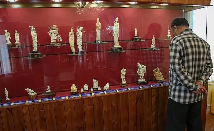انواع مختلف از آثار ارزشمند عاج فیل در موزه بین المللی عاج ایران 5455626526