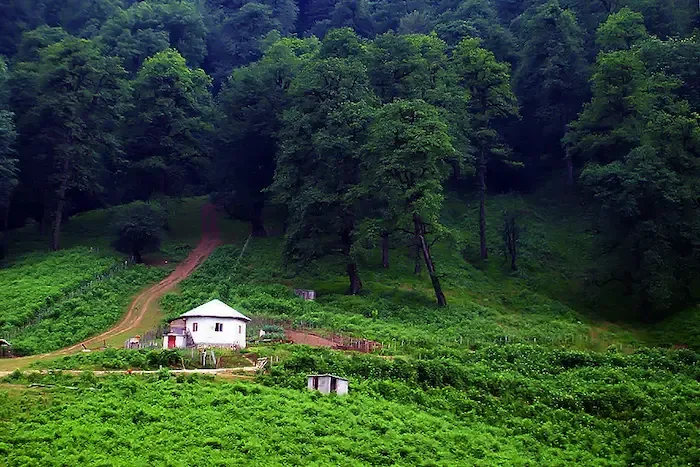 روستای نصیر آباد 052152564684