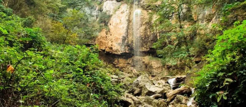 درختان انبوه در دل کوه های آبشار تودارک 4152416352652