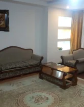 اتاق پذیرایی فرش شده با مبلمان و نورگیر آپارتمان در سادات شهر 4584684